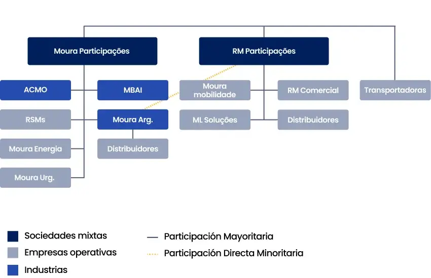 modelo da estrutura societaria